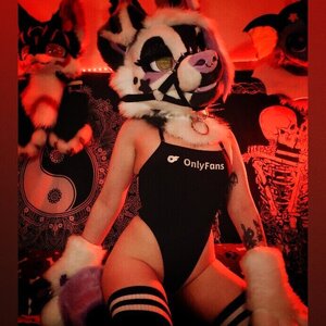 lilpixiekitten