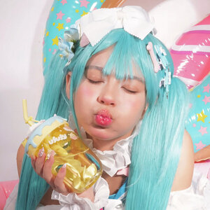Chippy クマ 猫