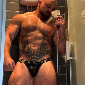 British Bear